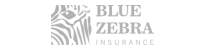 Blue Zebra public liability insurance for consultants